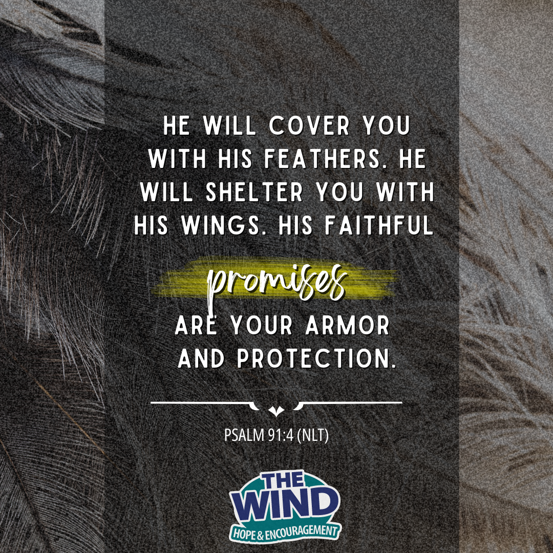 Psalm 91:4