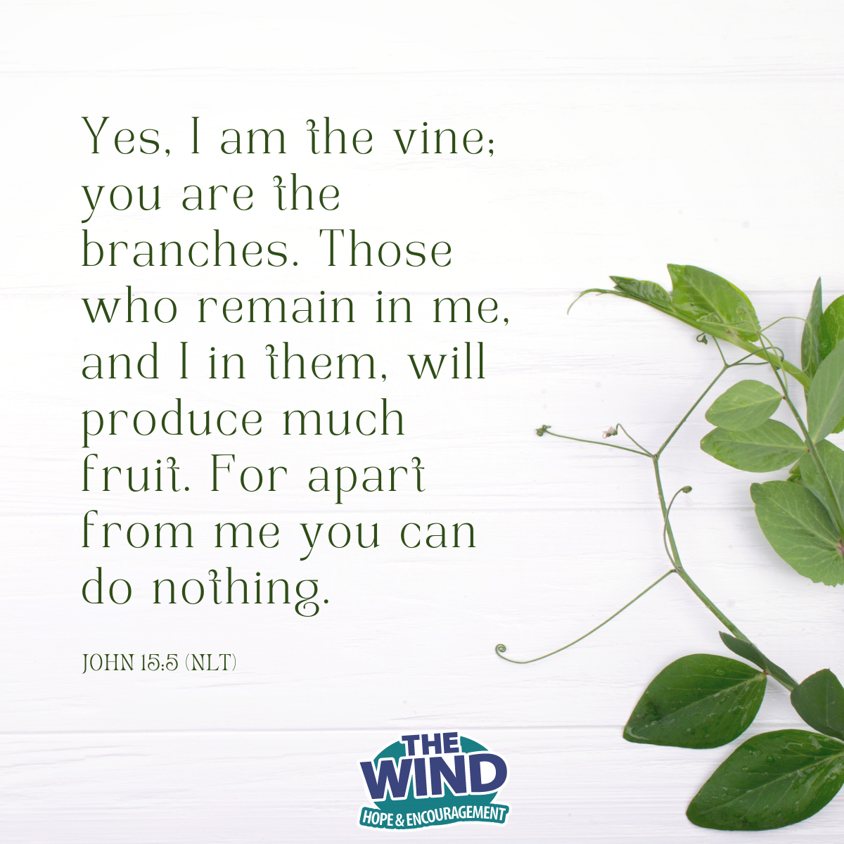 John 15:5