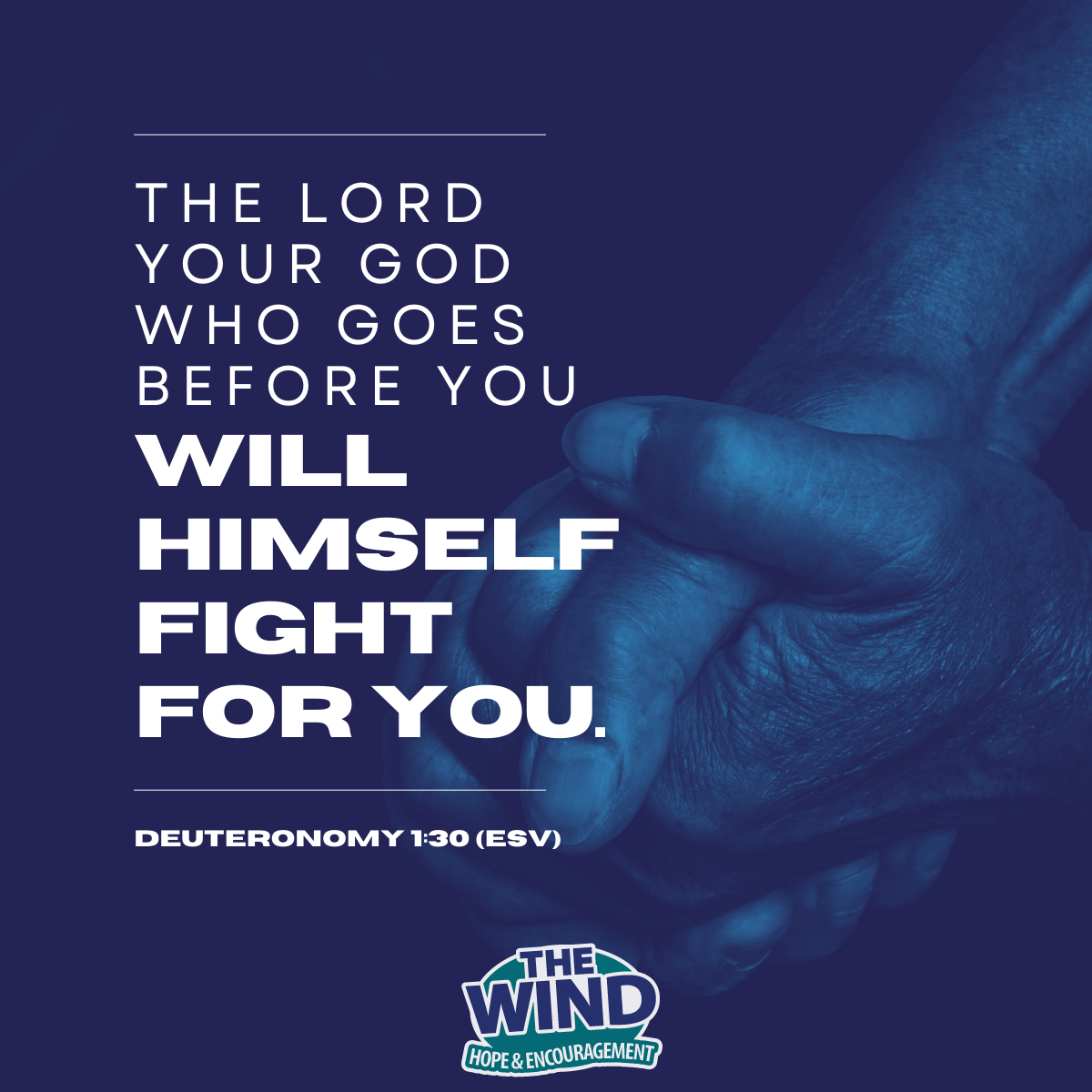 Deuteronomy 1:30