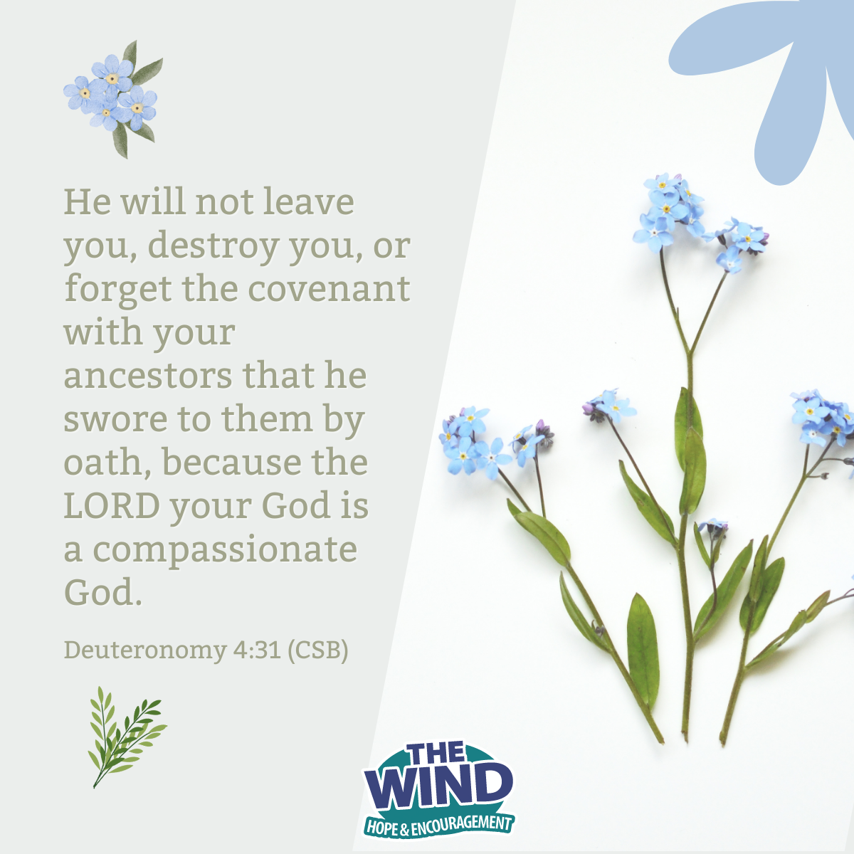 Deuteronomy 4:31