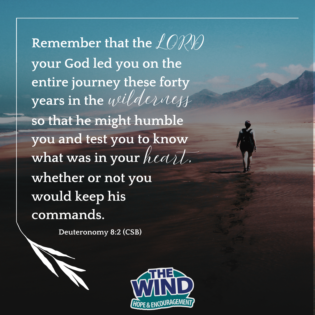 Deuteronomy 8:2