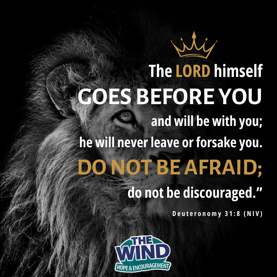 Deuteronomy 31:8