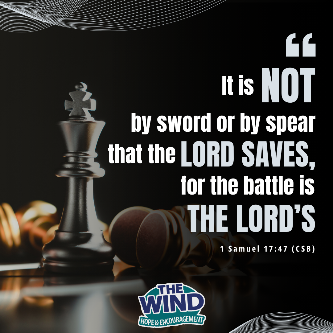 1 Samuel 17:47