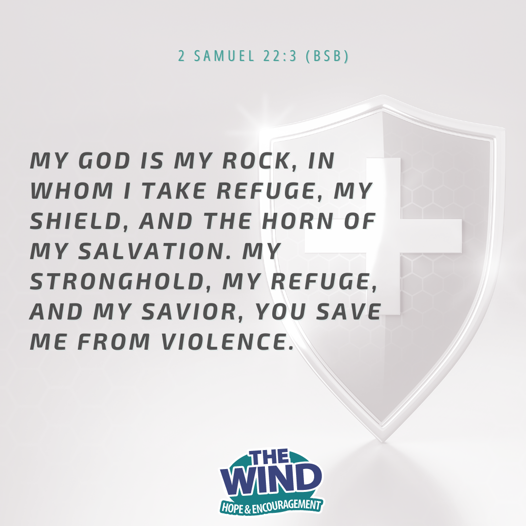 2 Samuel 22:3