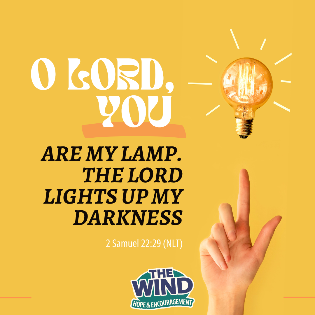 2 Samuel 22:29