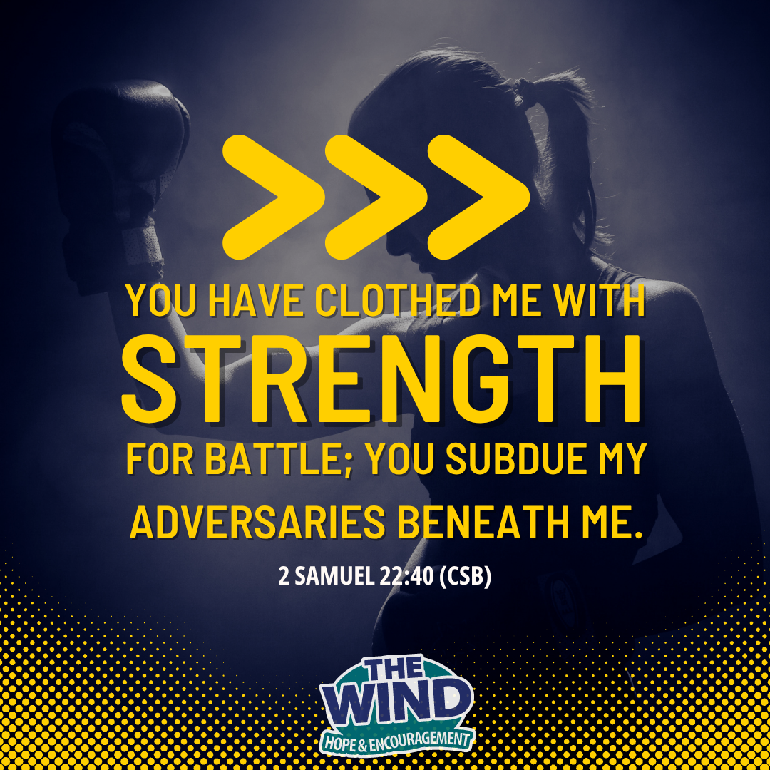 2 Samuel 22:40