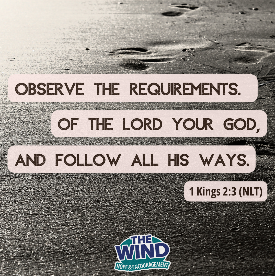 1 Kings 2:3