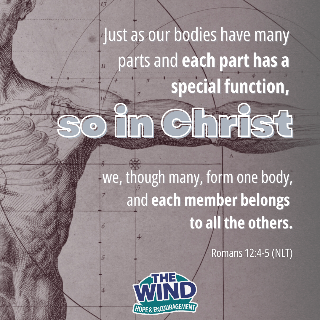 Romans 12:4-5