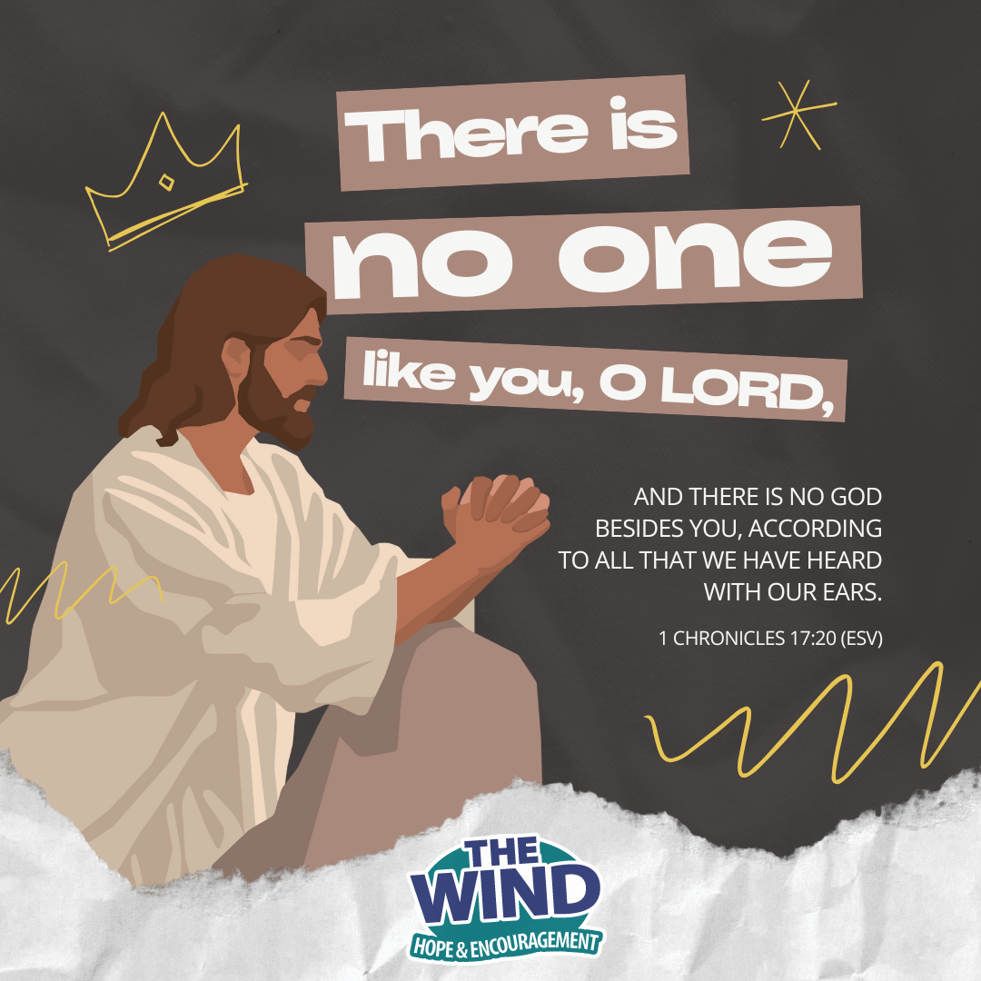1 Chronicles 17:20