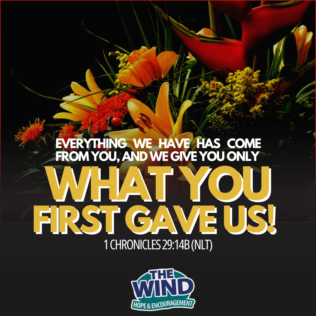 1 Chronicles 29:14b