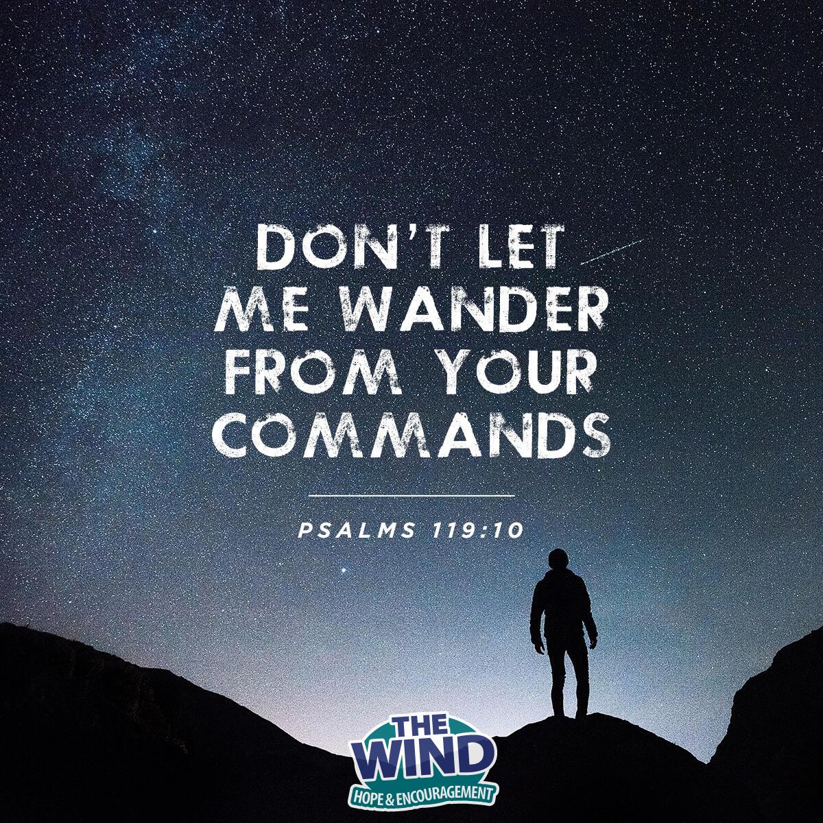 Psalms 119:10