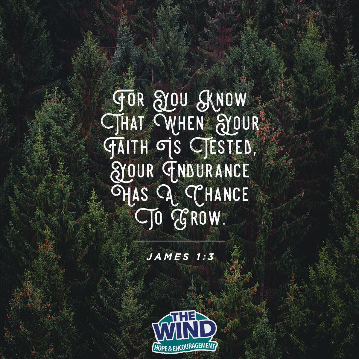 James 1:3