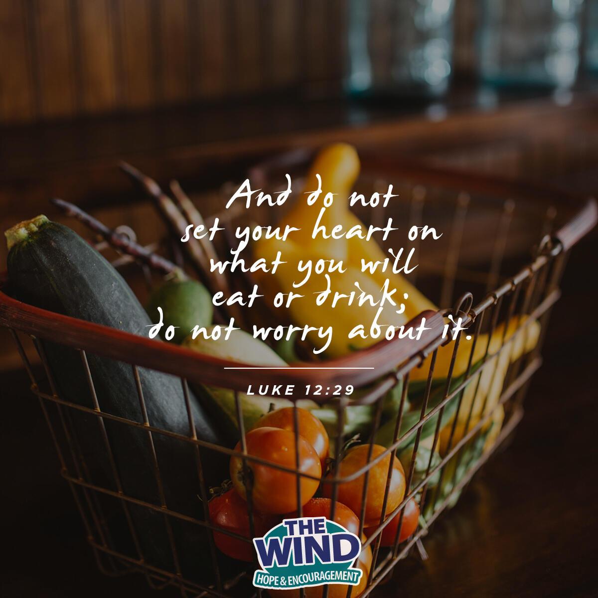 Luke 12:29