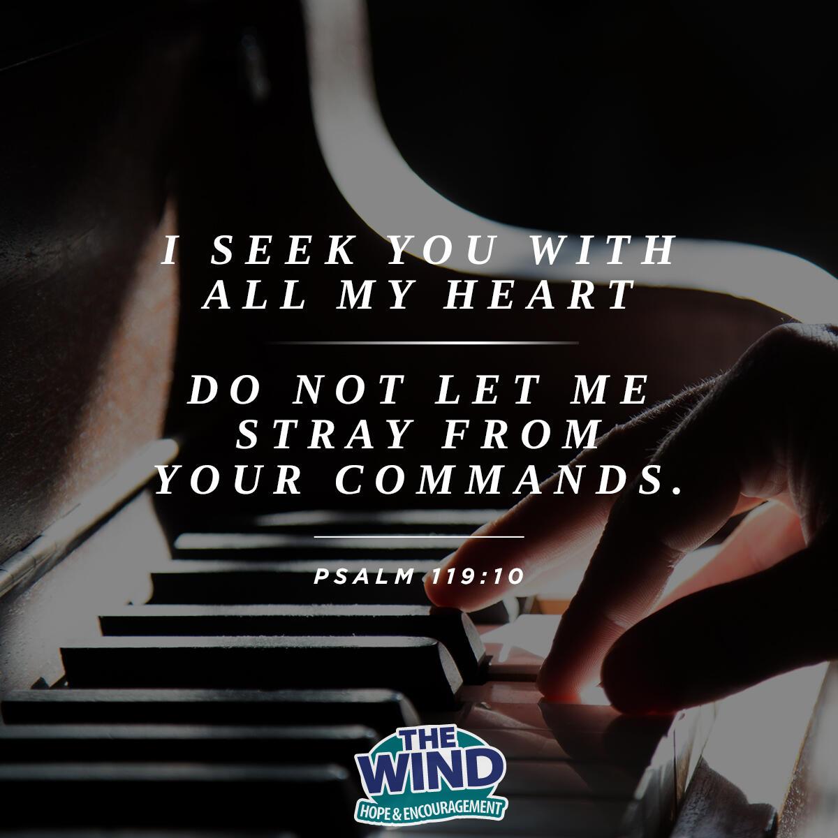 Psalm 119:10