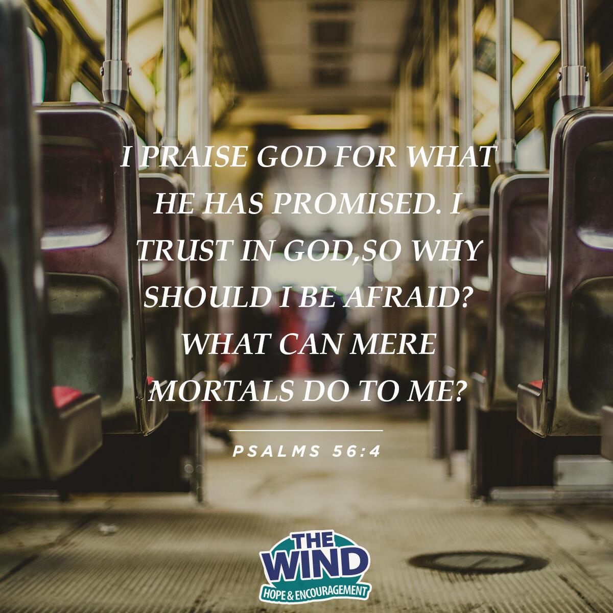 Psalms 56:4