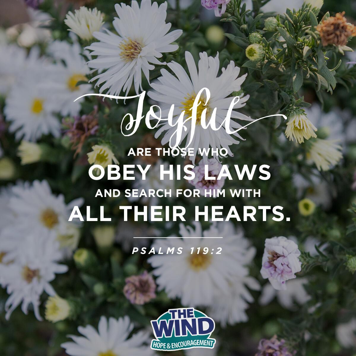 Psalms 119:2