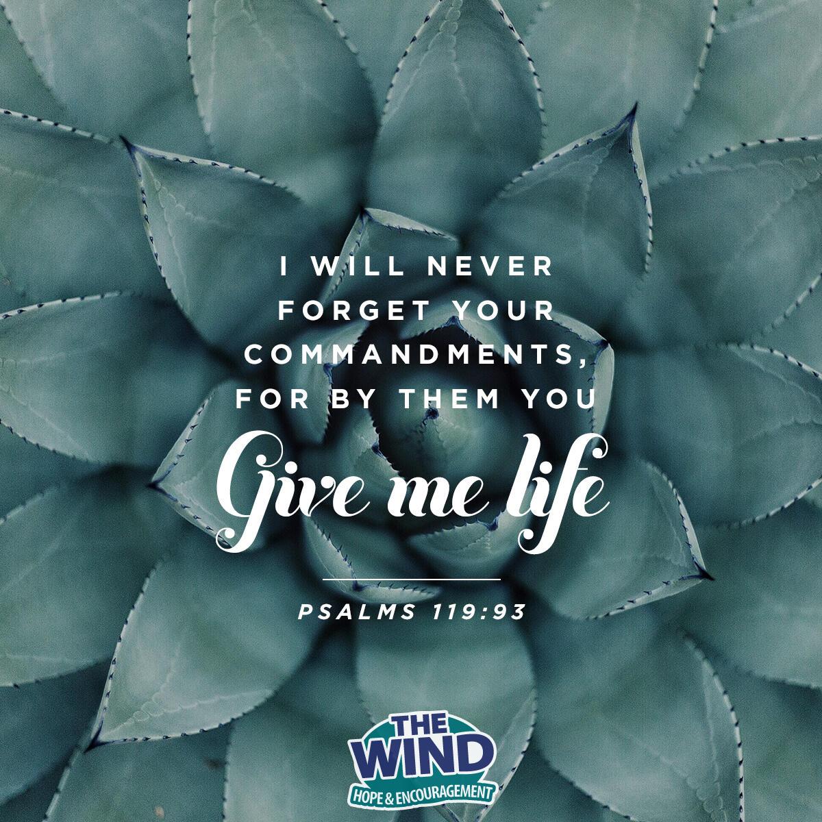Psalms 119:93