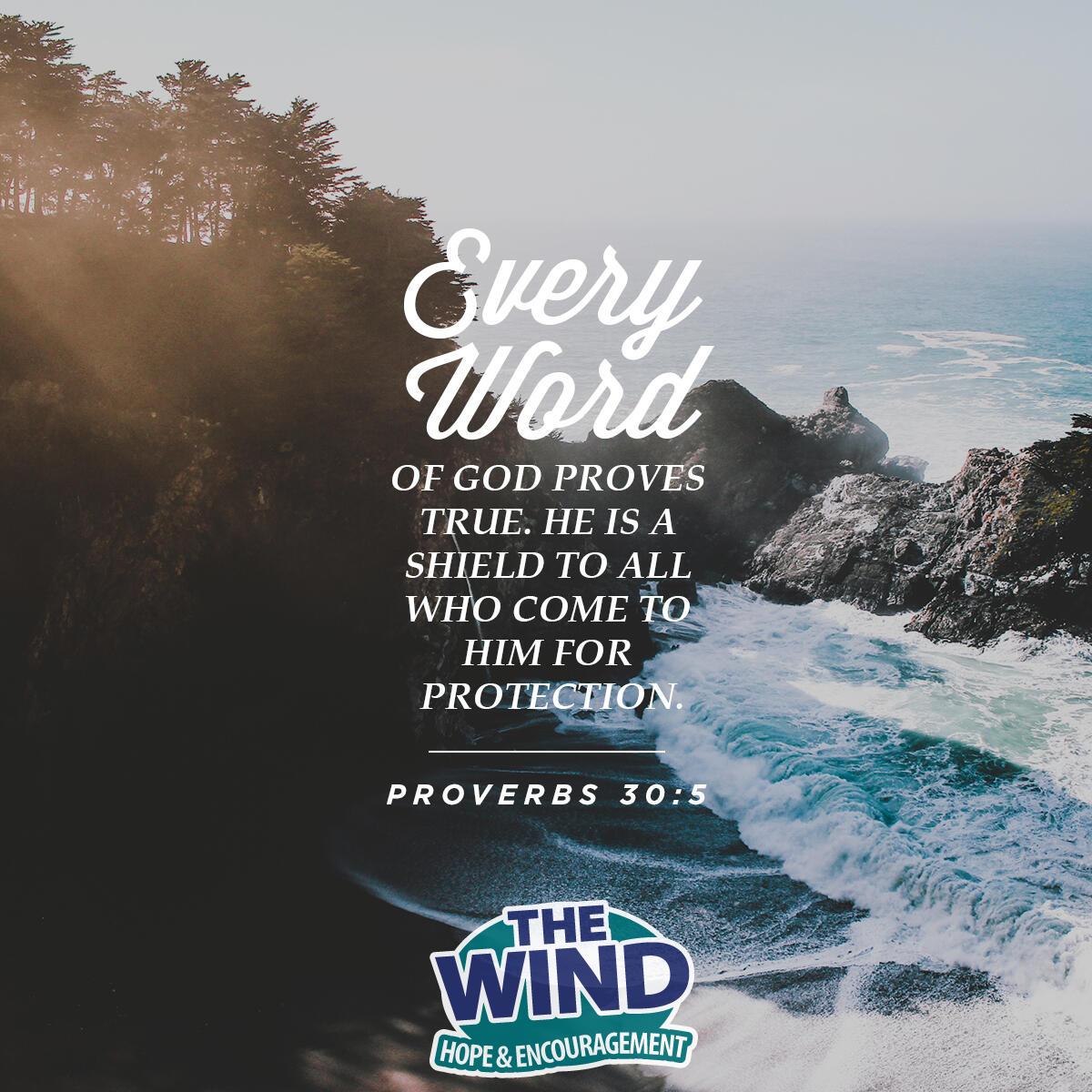 Proverbs 30: 5