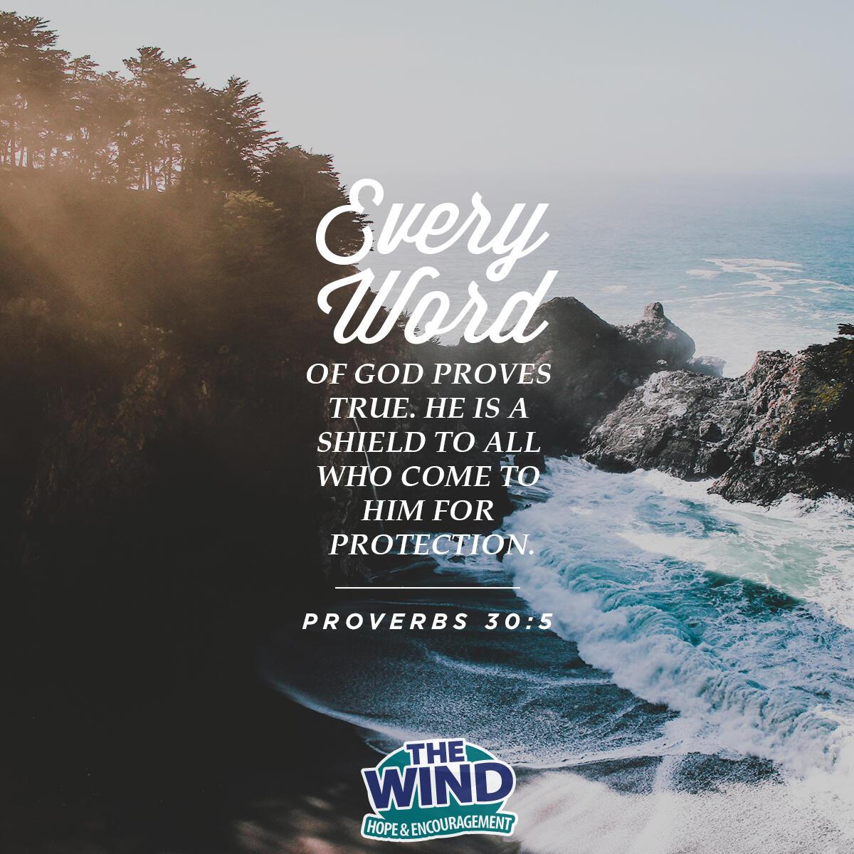 Proverbs 30: 5