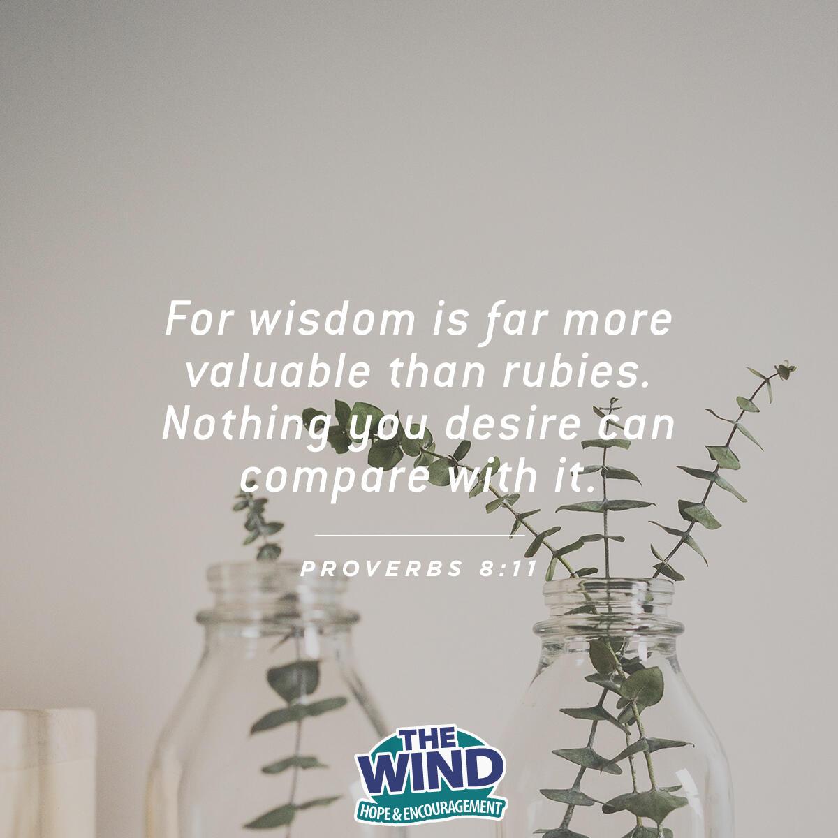 Proverbs 8: 11