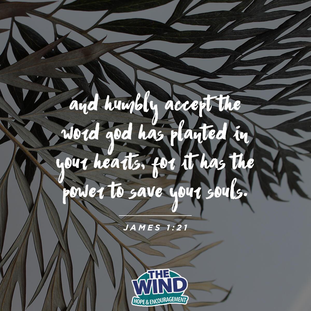 James 1:21