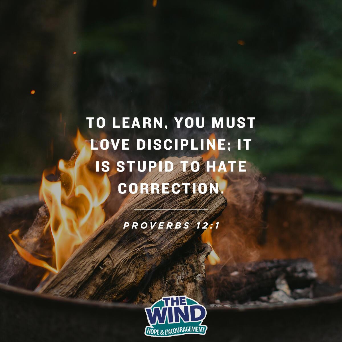 Proverbs 12:1