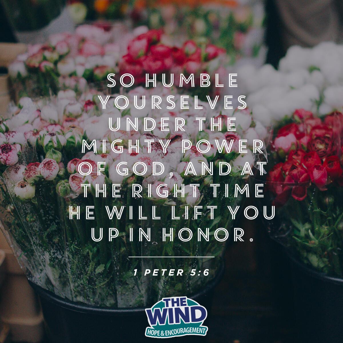 1 Peter 5:6