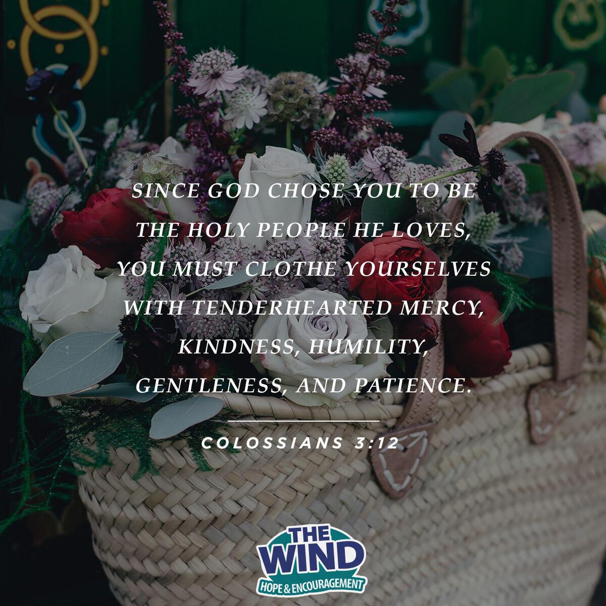 Colossians 3:12