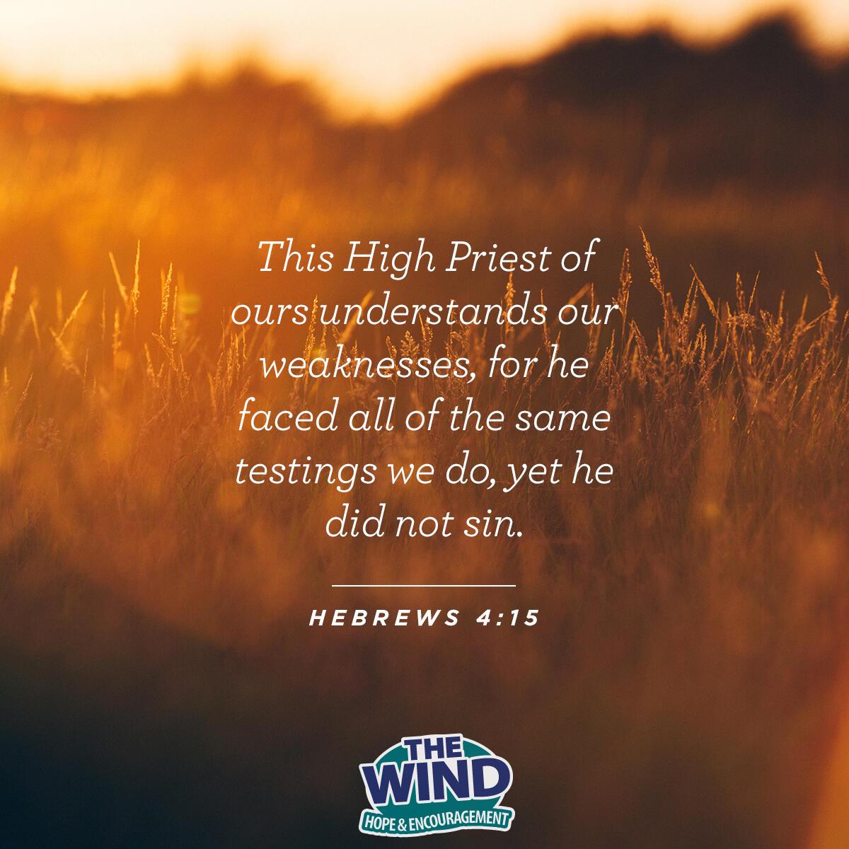 Hebrews 4:15