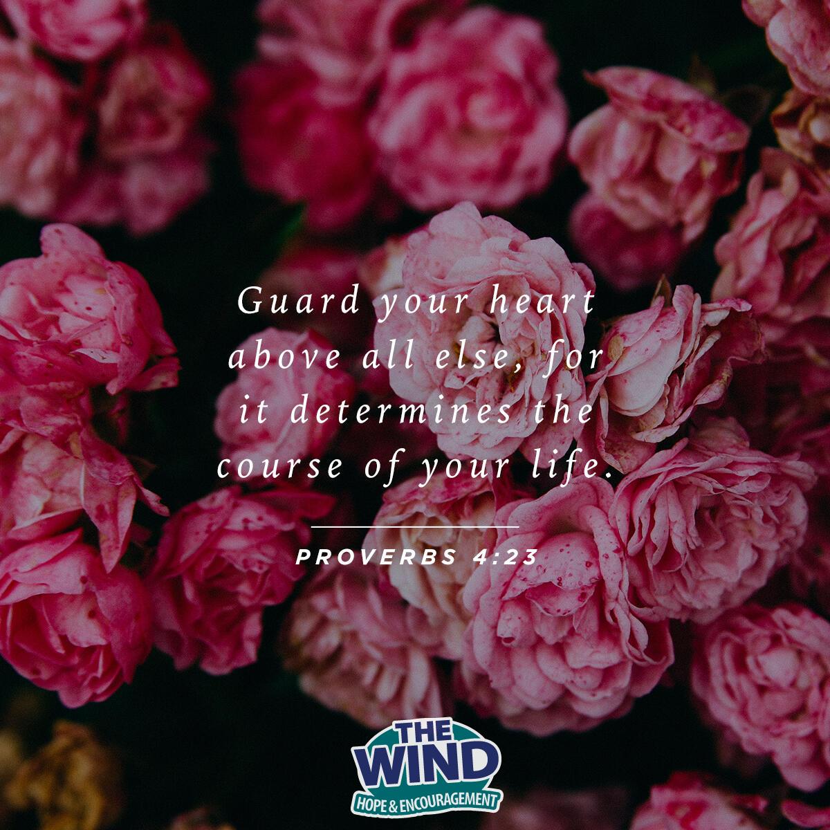 Proverbs 4:23 - Verse of the Day