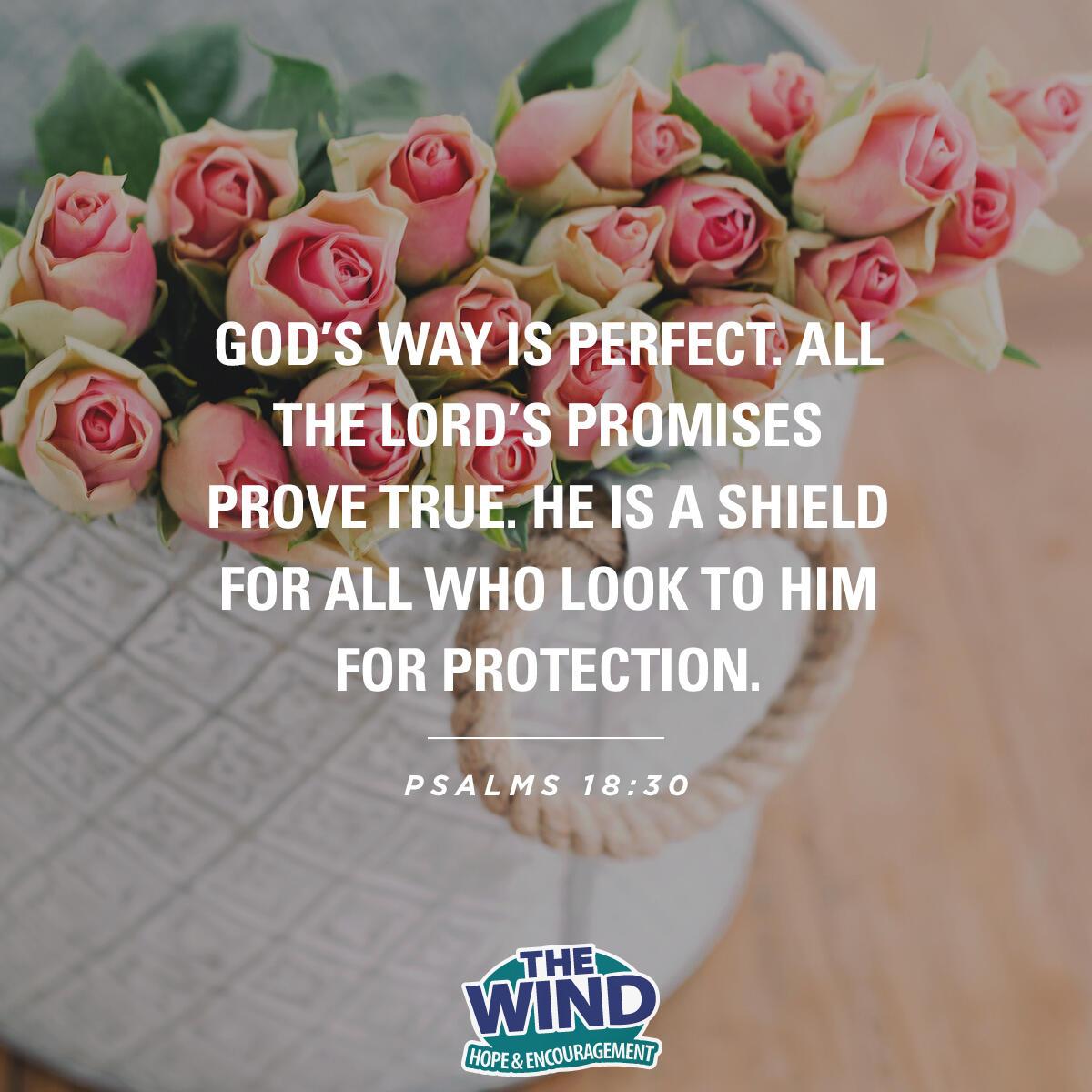 Psalms 18:30