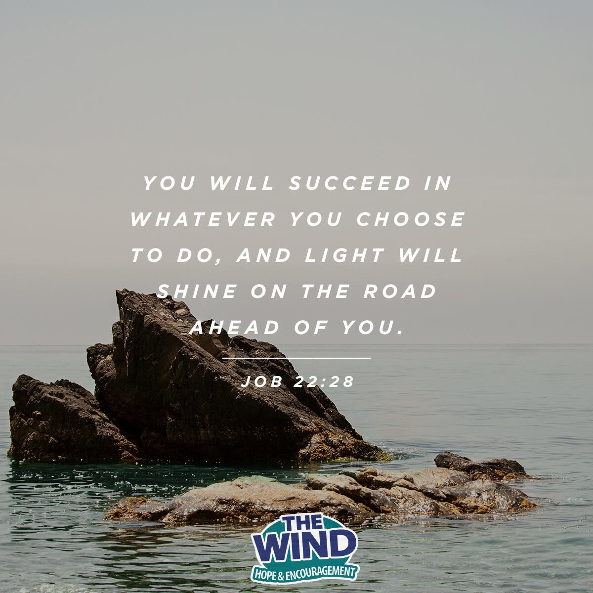 Job 22:28