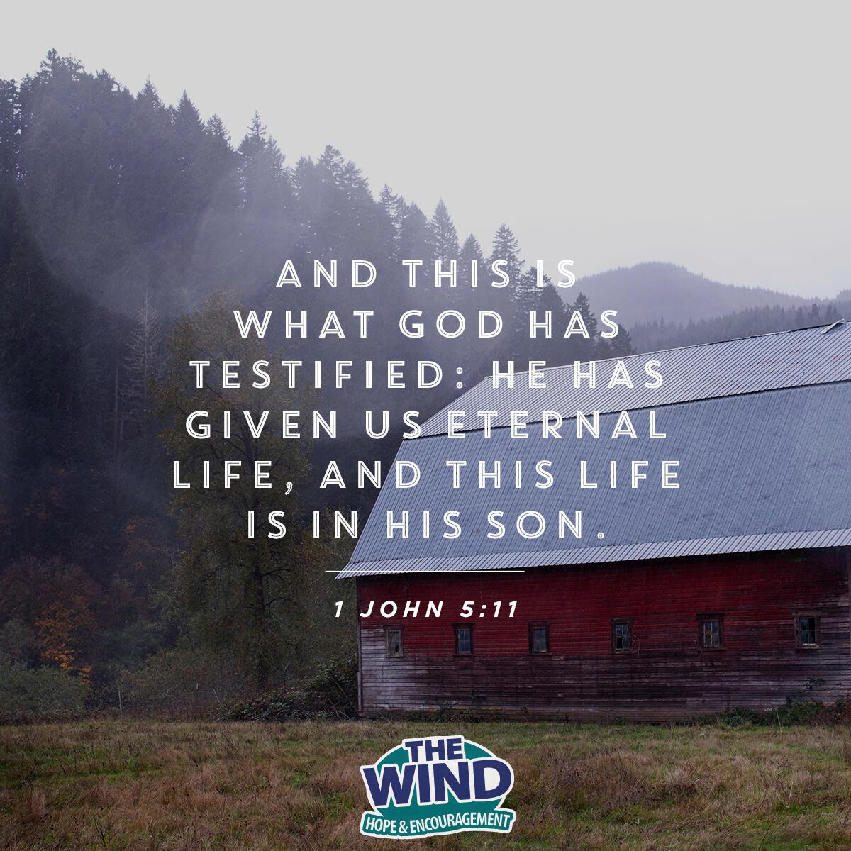 1 John 5:11