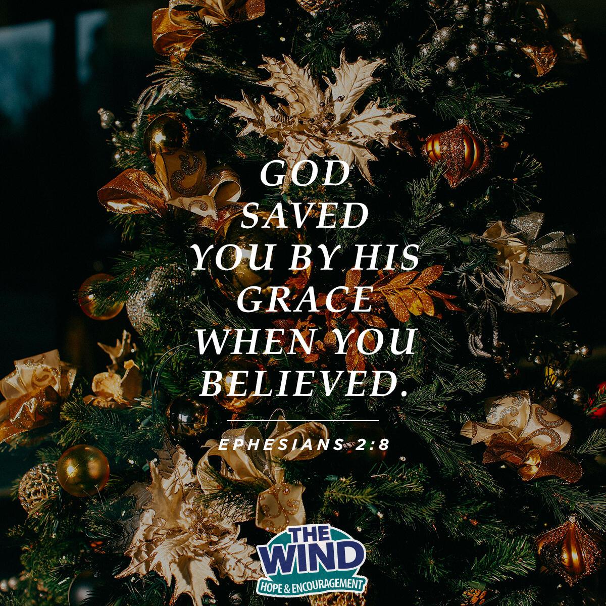 Ephesians 2:8