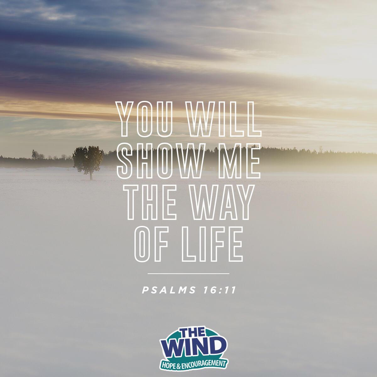 Psalms 16:11