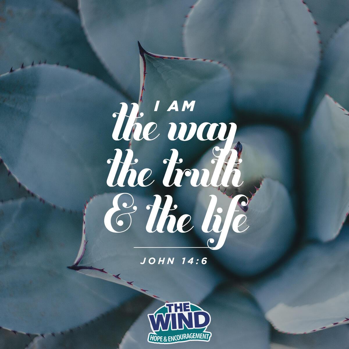 John 14:6