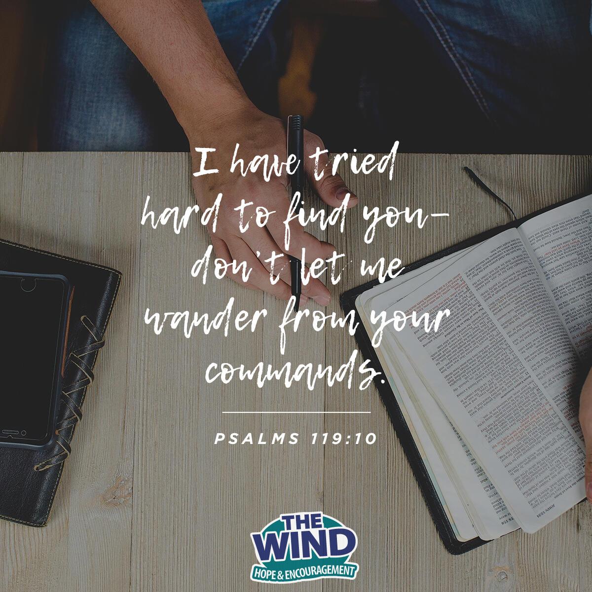 Psalms 119:10