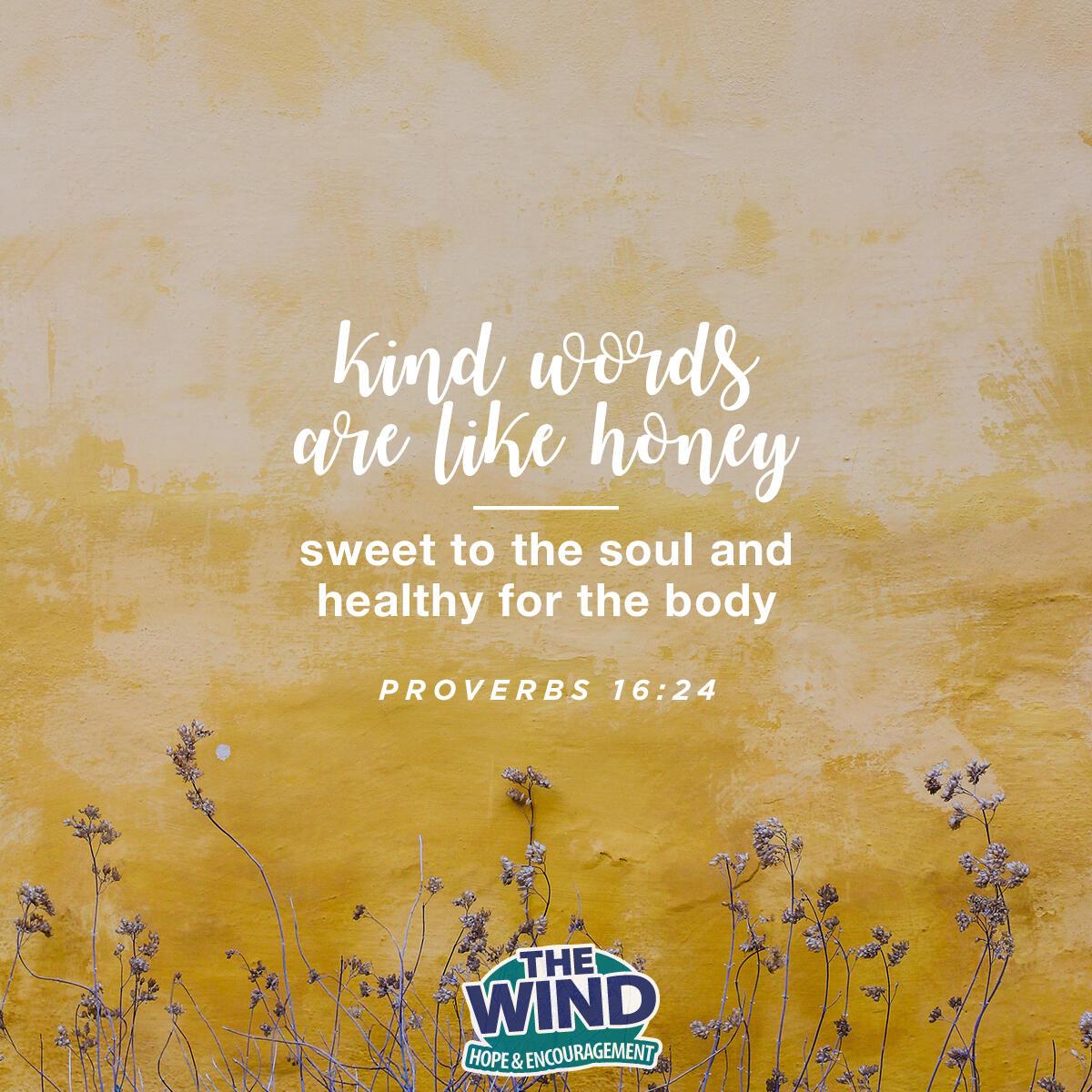 Proverbs 16:24