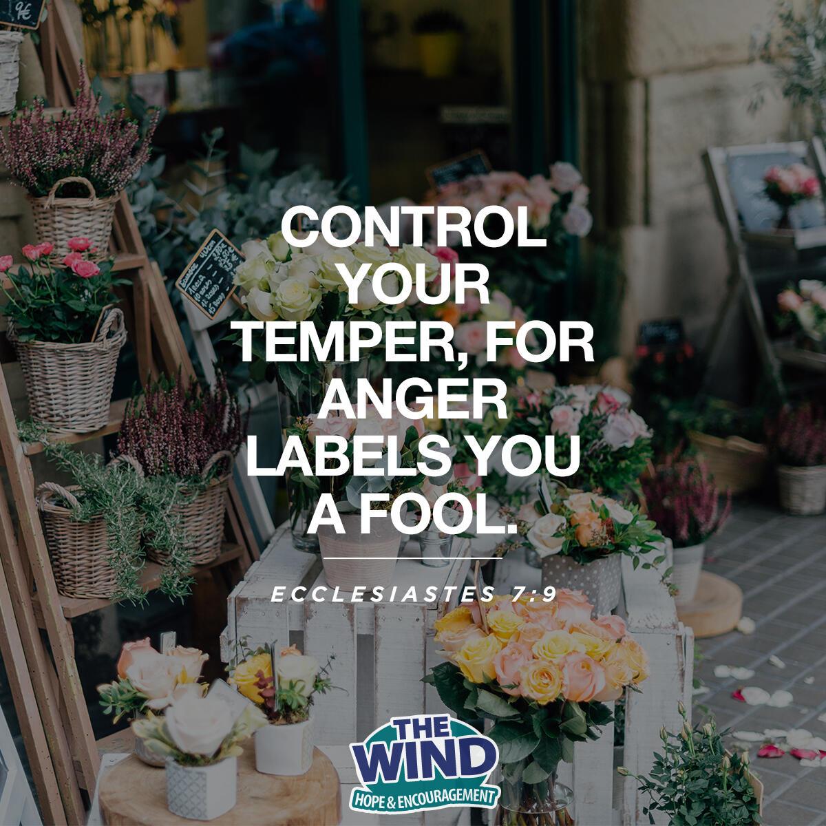 Ecclesiastes 7:9