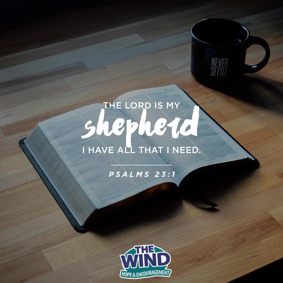 Psalms 23:1