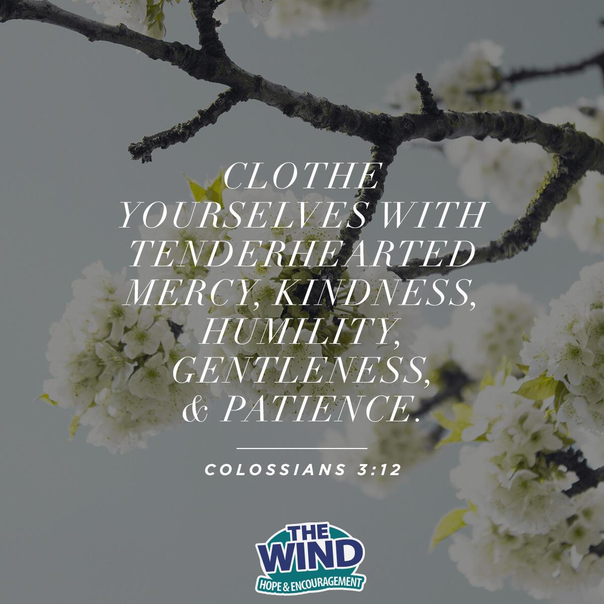 Colossians 3:12