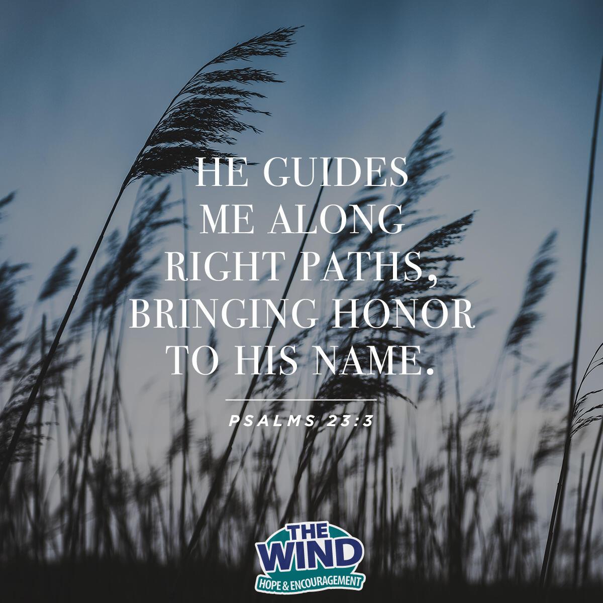 Psalms 23:3