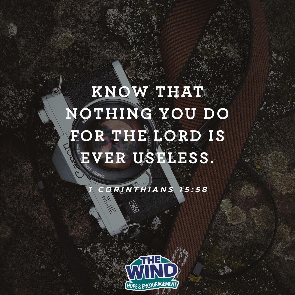 1 Corinthians 15:58