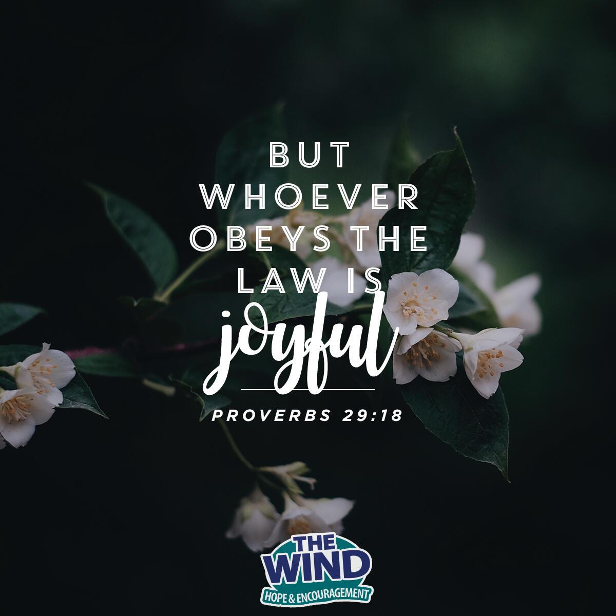 Proverbs 29:18
