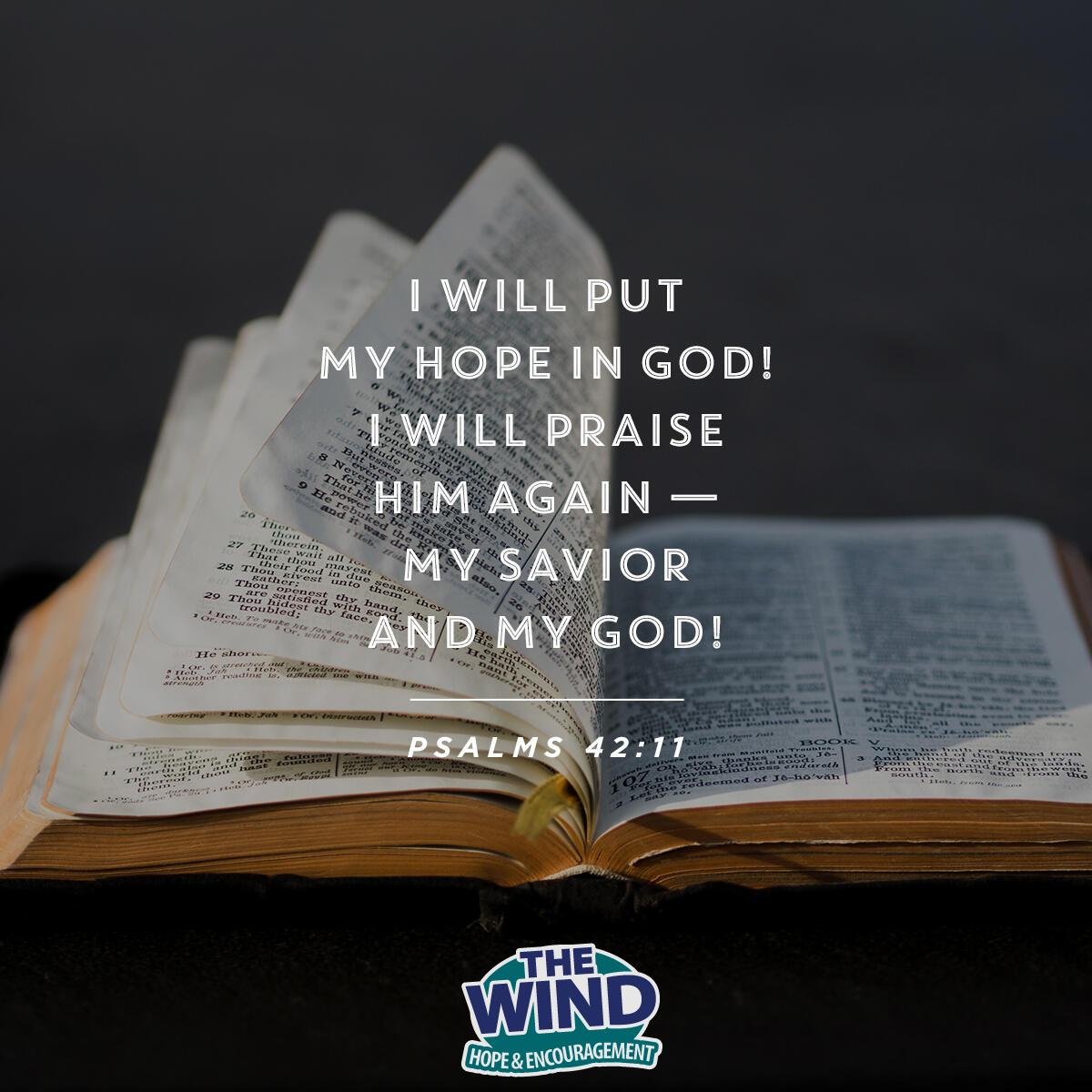 Psalms 42:11