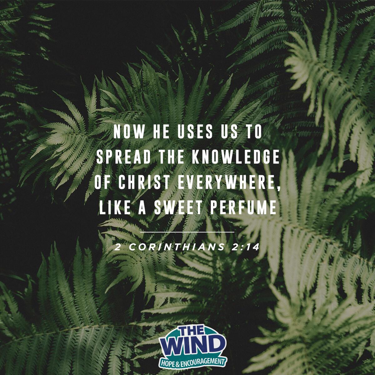 2 Corinthians 2:14