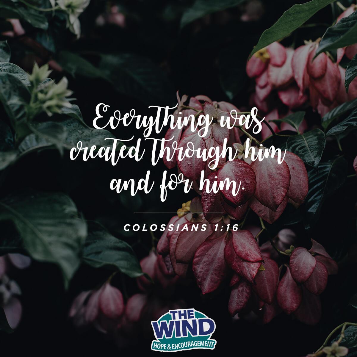 Colossians 1:16
