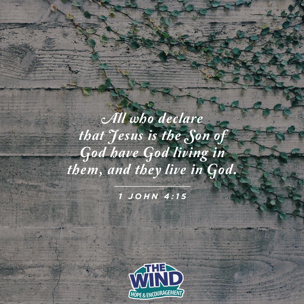 1 John 4:15