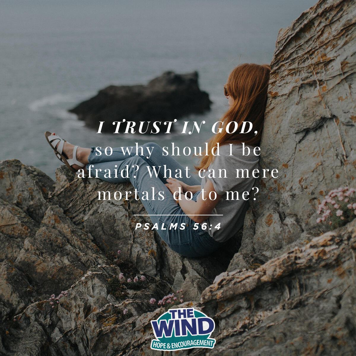 Psalms 56:4
