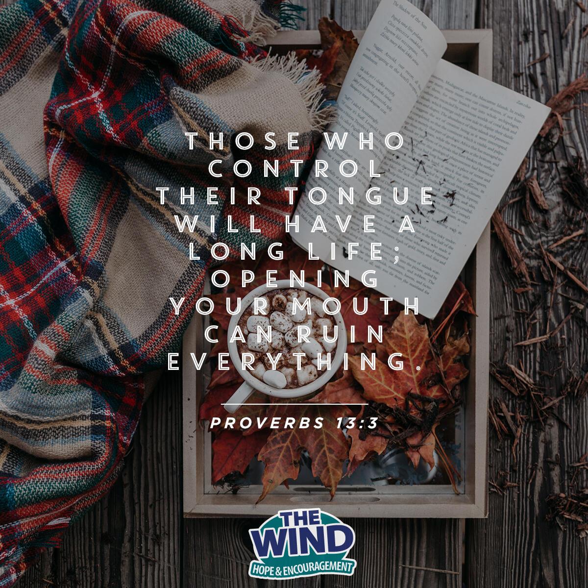 Proverbs 13:3